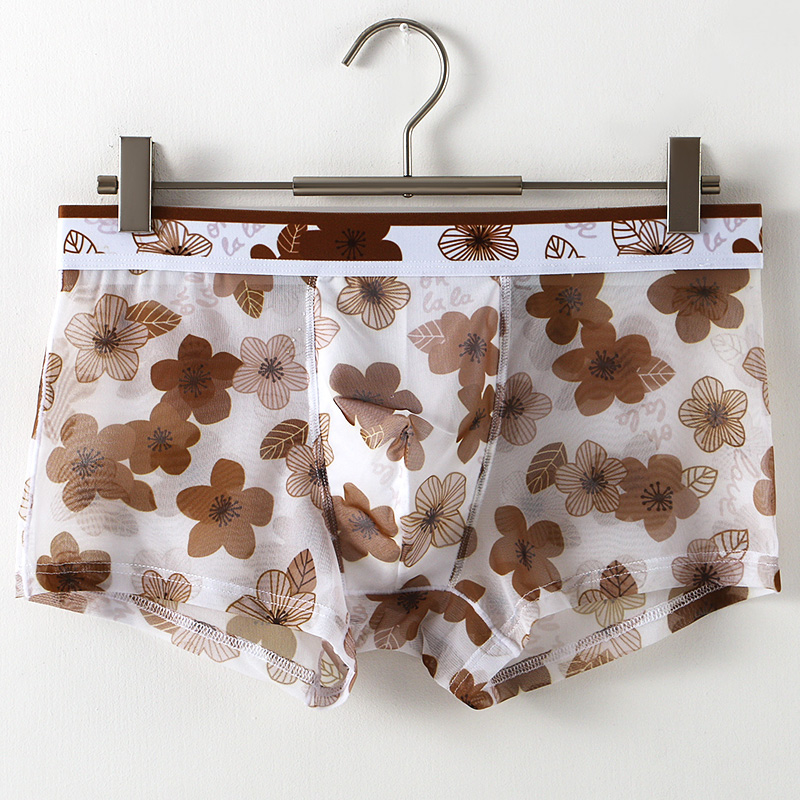 Ultra Thin Transparent Ice Sil – Mesh Sport Boxer recenzja i cena