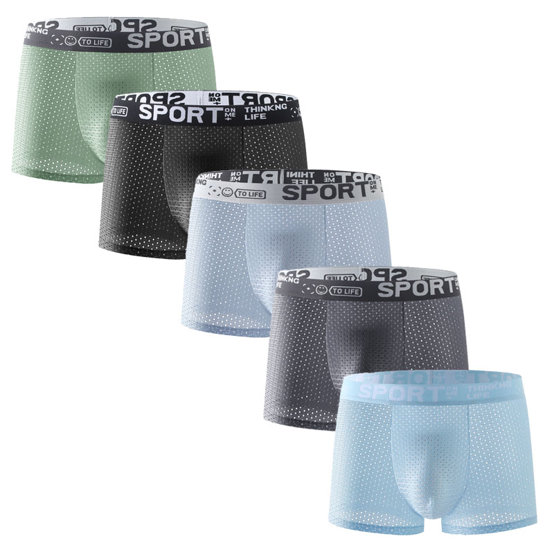 5PCS Men's Ice Silk Mesh Boxer – Mesh Sport Boxer recenzja i cena