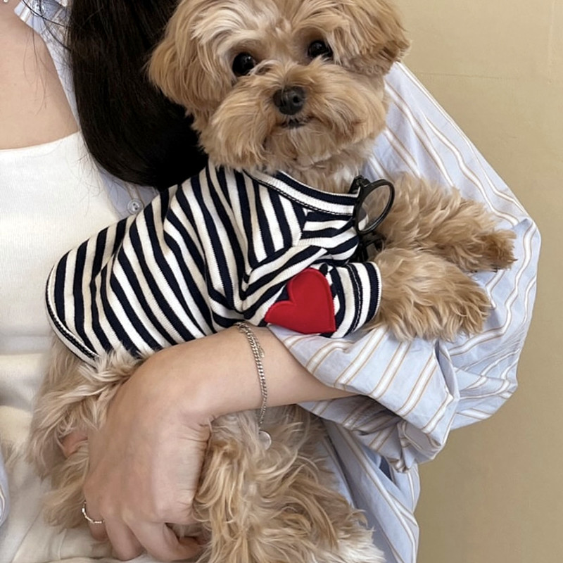 Dog Vest for Small Dogs Pet Do – Sleeveless Undershirt recenzja i cena